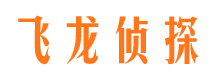 凯里侦探